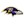 Baltimore Ravens Swatch